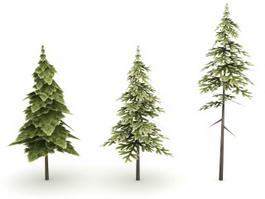 Pine Trees 3d model preview