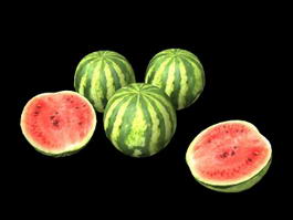 Watermelon Summer Fruit 3d model preview