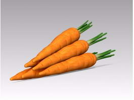 Carrot Vegetable 3d model preview