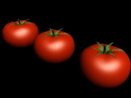 Tomatoe Fruit Vegetables 3d preview