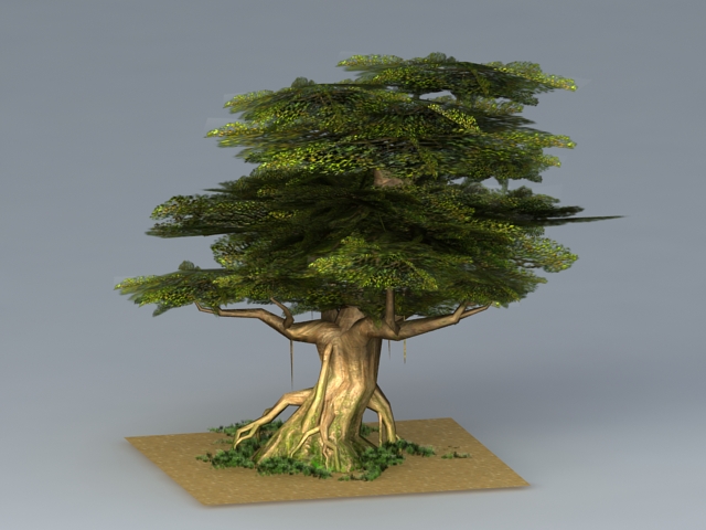 Towering Oak Tree 3d rendering