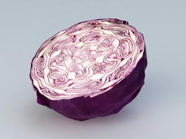 Purple Cabbage 3d model preview