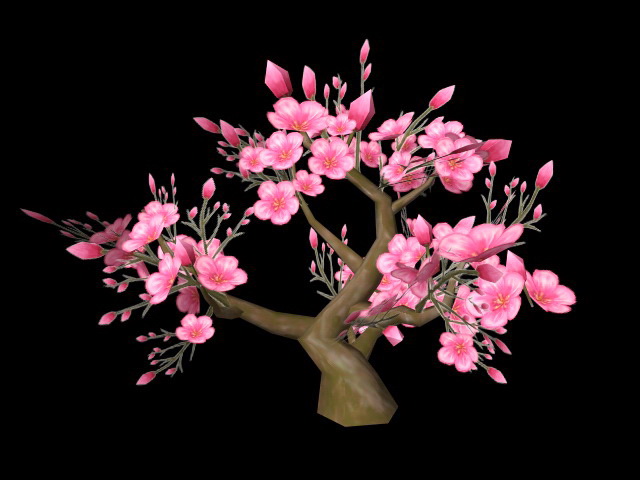 Dwarf Flowering Peach Tree 3d rendering