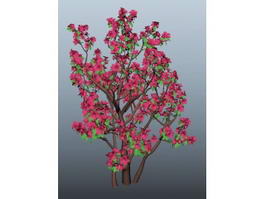 Azalea Tree 3d model preview