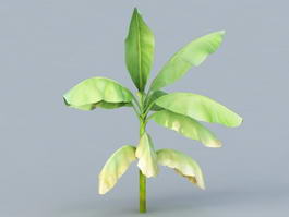 Banana Leaf Plant Tree 3d model preview