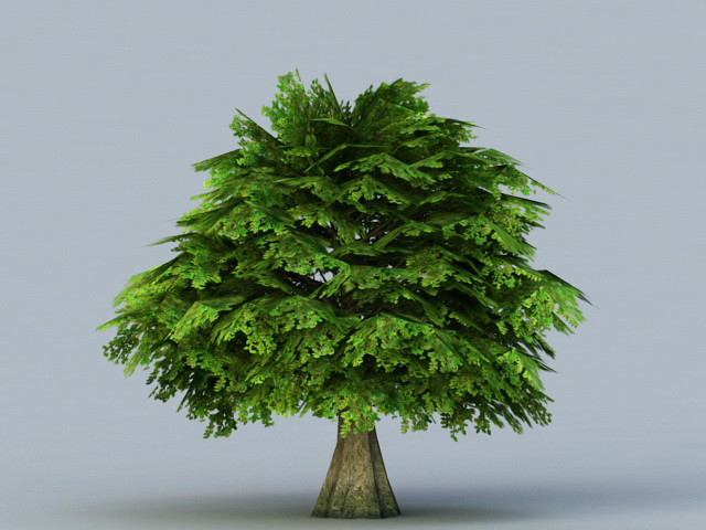 Tree with Leaves 3d rendering