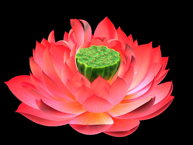 Lotus Bloom 3d rendering