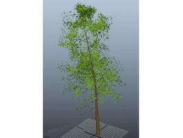 Small Yard Tree 3d model preview
