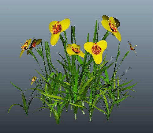 Yellow Flower Grass 3d rendering