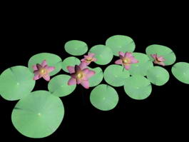 Water Lilies Flowers 3d model preview