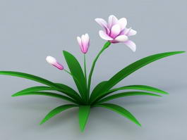 Orchid Plant with Pink Flowers 3d model preview