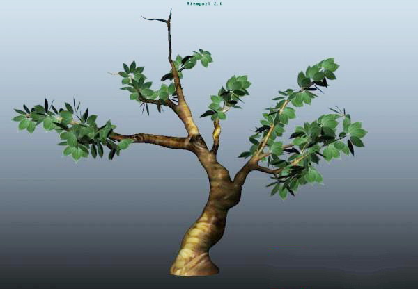 Spring Tree 3d rendering