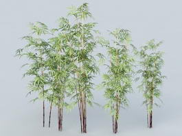 Bamboo Forest 3d model preview