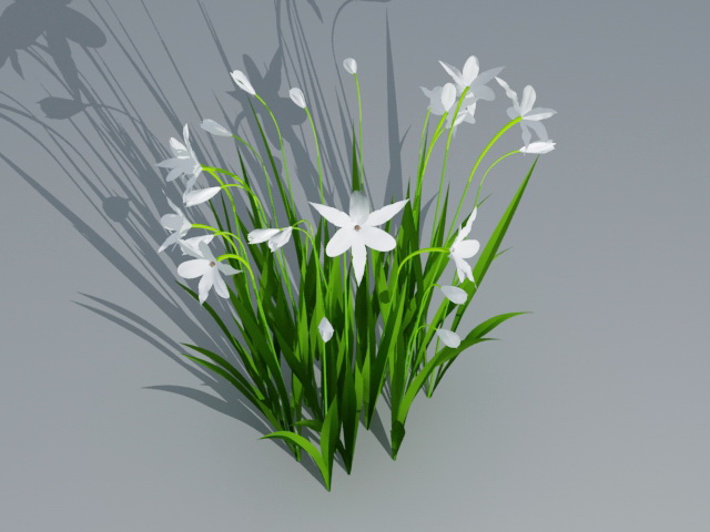 White Cymbidium Orchid Plant 3d rendering