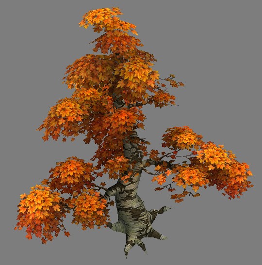 Old Maple Tree 3d rendering