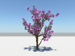 Purple Azalea Plants 3d model preview