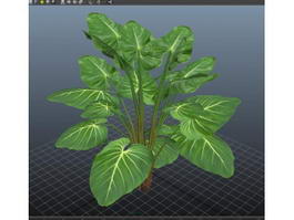 Philodendron Plant 3d model preview