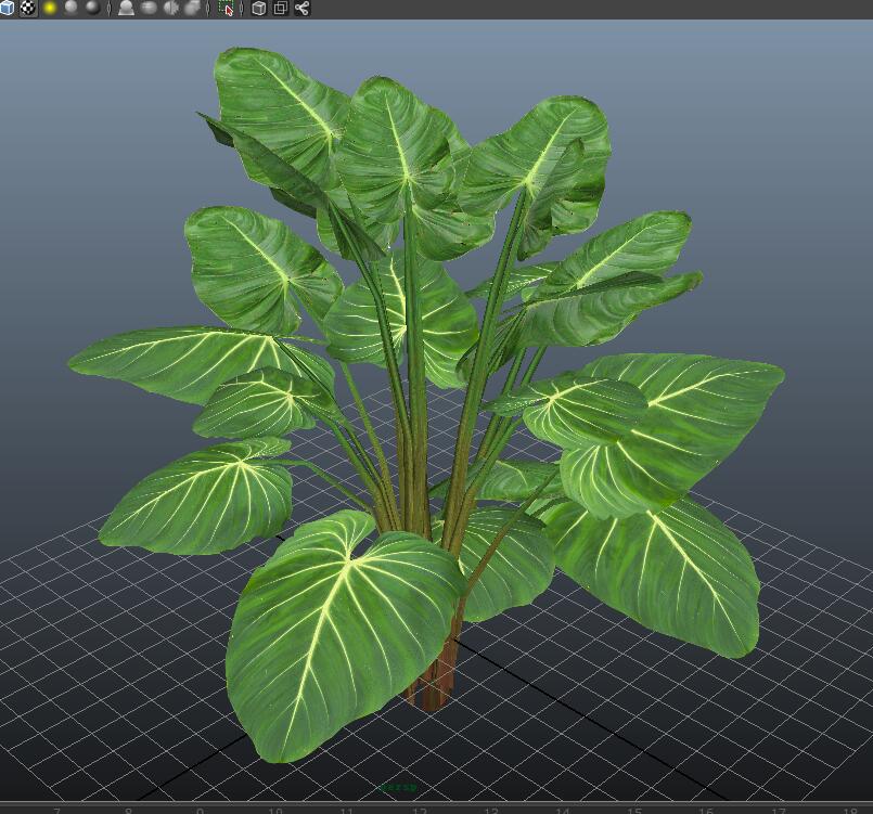 Philodendron Plant 3d rendering