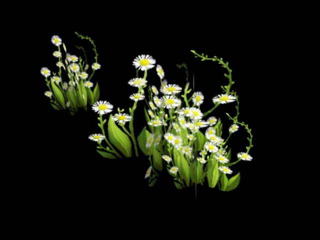 Wildflower 3d rendering