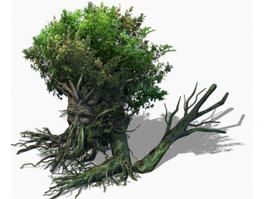 Fantasy Art Treant 3d preview