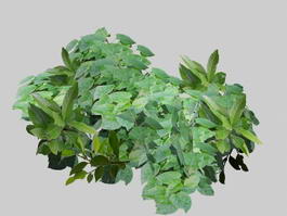 Green Leaves 3d model preview