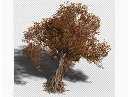 Autumn Tree 3d model preview