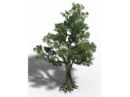 Old Birch Tree 3d model preview