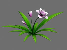 Chinese Cymbidium Orchids 3d model preview