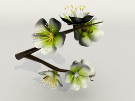 Animated Plum Blossom 3d model preview