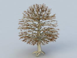 Autumn Tree 3d model preview