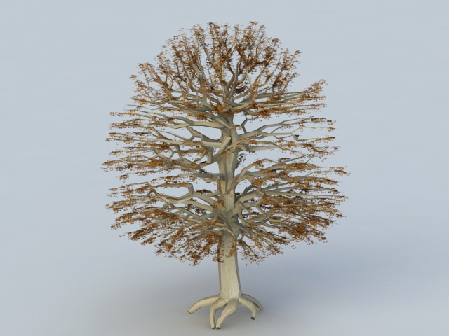 Autumn Tree 3d rendering