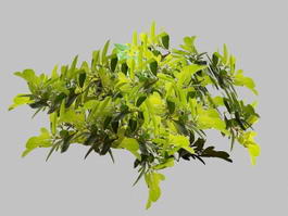 Green Leaves and Tree Branch 3d model preview