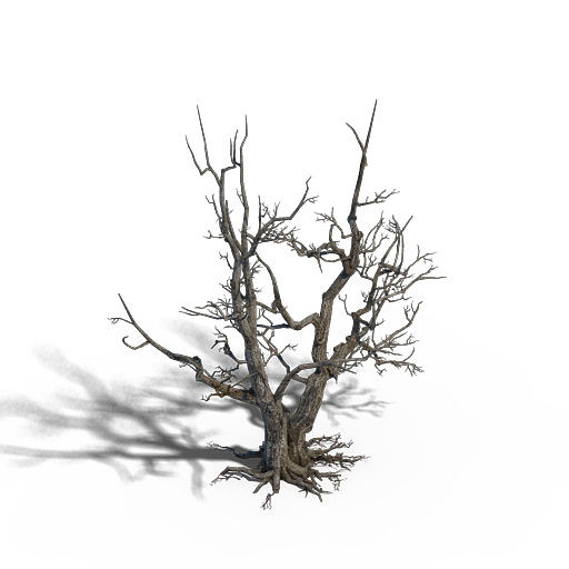 Dead Tree High Resolution 3d rendering