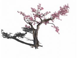 Old Plum Tree 3d model preview