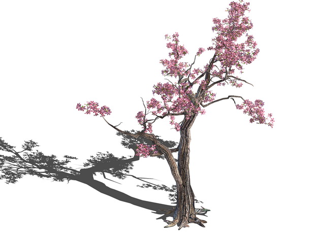 Old Plum Tree 3d rendering