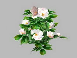 White Camellia Flower 3d model preview