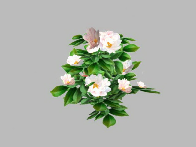 White Camellia Flower 3d rendering