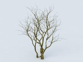 Dying Tree 3d preview