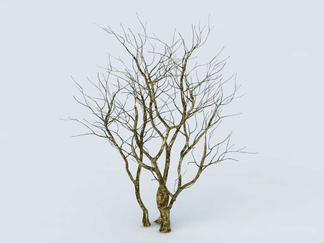 Dying Tree 3d rendering