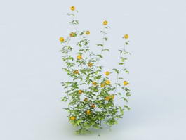 Yellow Flower Shrub 3d preview