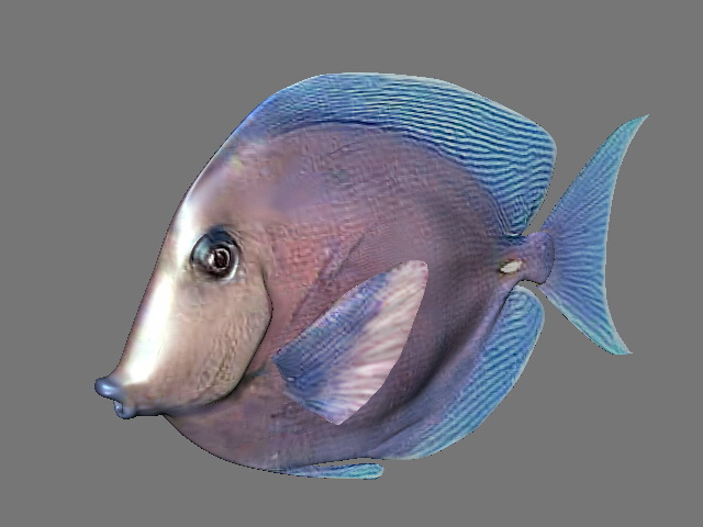 Fish 3d model Maya files free download modeling