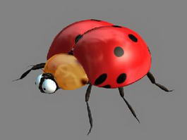 Ladybugs 3d model preview