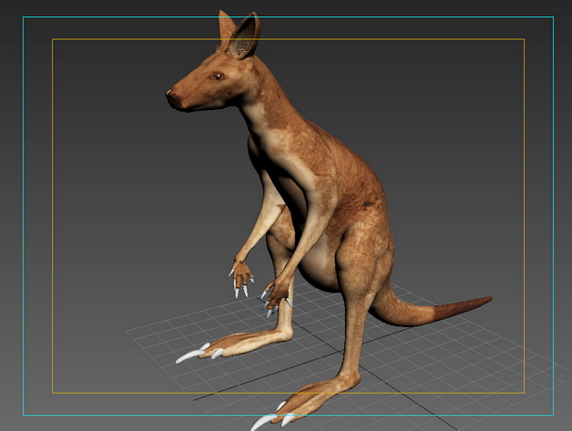 Kangaroo Animal 3d rendering