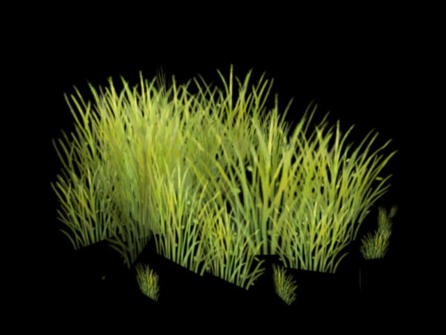 Green Grass 3d rendering