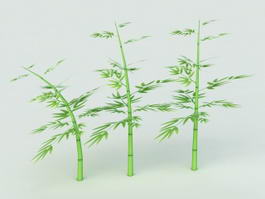 Bamboo Plants 3d model preview