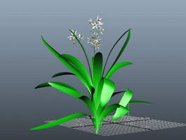 Ground Orchids Plants 3d model preview