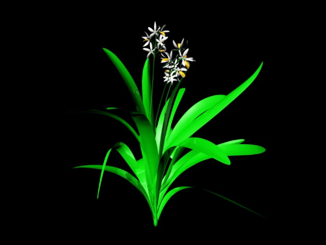 Ground Orchids Plants 3d rendering