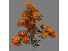 Big Maple Tree 3d model preview