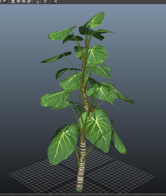 Giant Philodendron Plant 3d rendering