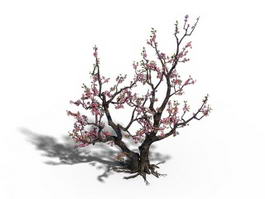 Peach Tree Blossoms 3d model preview
